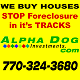 Alpha Dog Investments